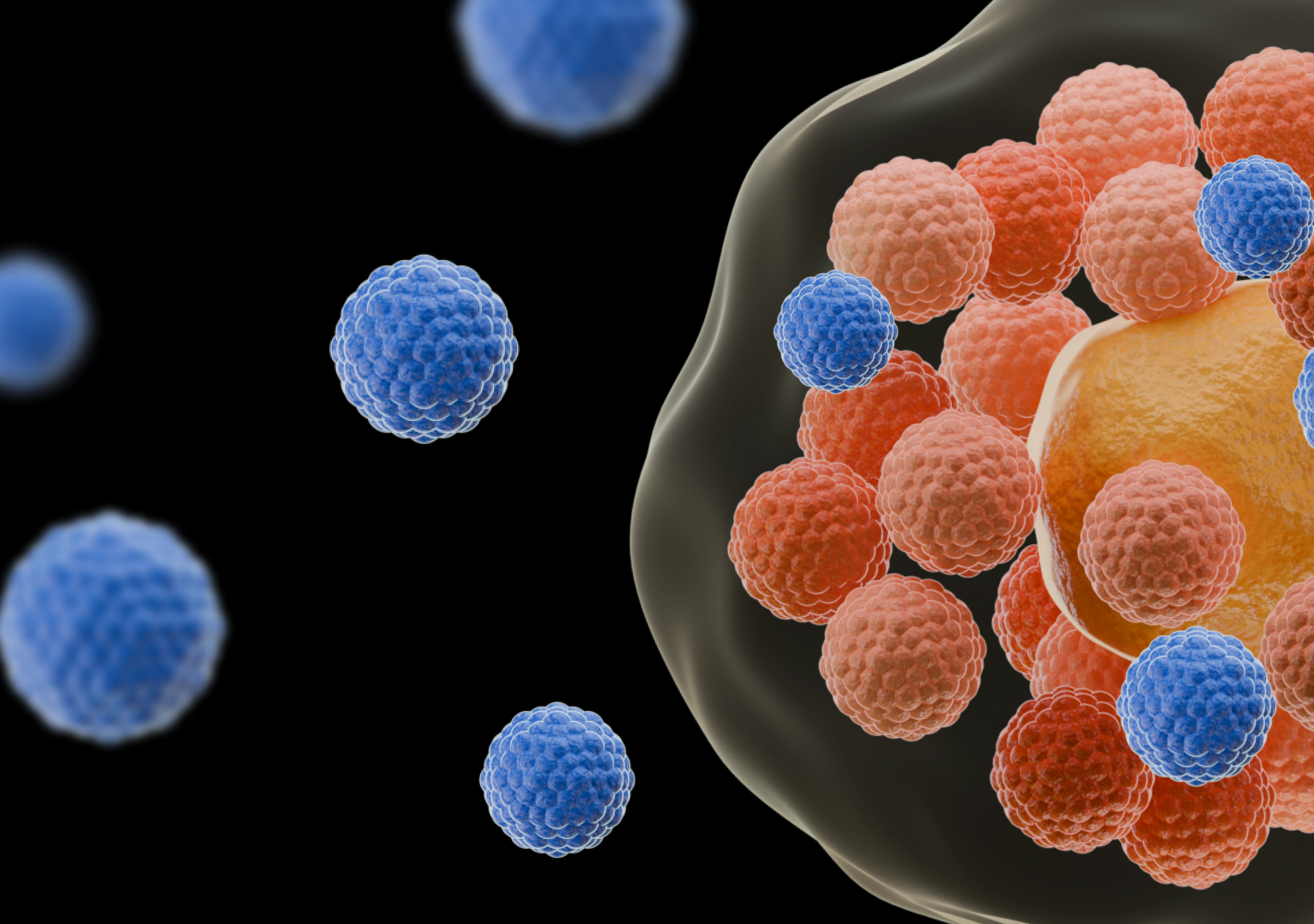 What to Know About Chlamydia | AllrangeKit™ - AllrangeKit™ sexual health blog article